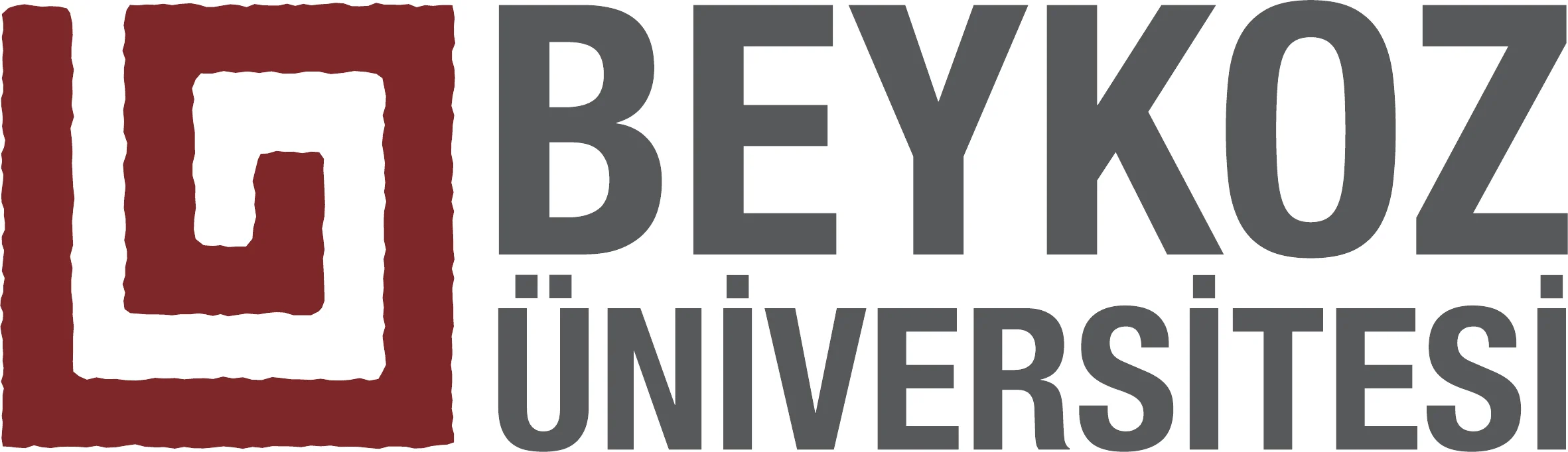 Beykoz University